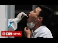 Mass testing in Beijing after 'ferocious' Covid outbreak - BBC News