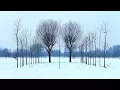 Download Lagu Schodt feat. Aida Fenhel - White Tiger (Matt Lange 2012 Re-Master) [Silk Music]