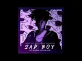 R3HAB \u0026 Jonas Blue feat. Ava Max \u0026 Kylie Cantrall - Sad Boy (STEVENJAXX Festival Mix)