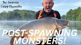 post spawn giants at fensmere 66 14 blanco u0026 mel at 64 13 u0026 farm updates
