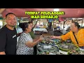 Download Lagu PASAR IKAN TPI SIDOARJO || PUSAT IKAN DI SIDOARJO