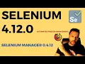 Latest Selenium 4 12 0 with Latest Selenium Manager 0 4 12 Automated Firefox Binary Management