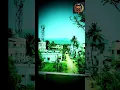 Download Lagu #Nature #love #green #rain #hillsstation #forest #love #song #music #memories #life