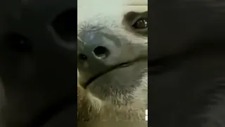 طلاب الفصل باختصار 