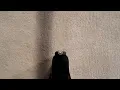 Springfield Hellcat - Flaw Problem Resolved
