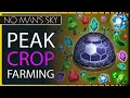 Peak Efficiency Farming Crops in No Man s Sky with Minimal Effort - No Glitching Required