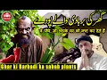 Download Lagu Ghar ki Barbadi ka sabab plants