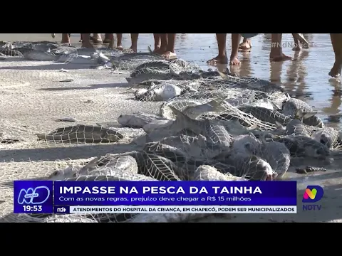 Impasse na pesca da tainha: com as novas regras, prejuízo deve chegar a R$ 15 milhões