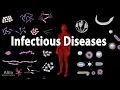 Download Lagu Infectious Diseases Overview, Animation