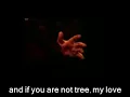 Mahmoud Darwish: if you are not rain, my love...