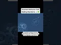 Download Lagu Human Immune Cell Eating Bacteria #microbiology