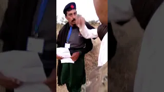 cbo mafia western jhelum