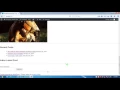 Wordpress Theme Development With - S