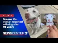 What a miracle Greene co woman reunited with missing dog 10 years later WHIO-TV