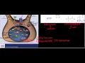 Melanocyte Physiology Biosignaling