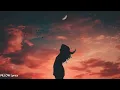Post Malone - How Do I Fall Back In Love? (ft. The Weeknd)(Song Lyrics)