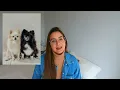 HOW TO TRAVEL WITH YOUR PET FROM PORTUGAL TO BRAZIL
