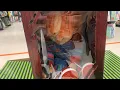 Spirit Halloween Store Tour Abandoned Walgreens E Main Street