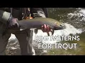 Using An Egg Pattern For Steelhead Trout