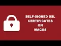 Create A Self Signed Certificate For Node js On MacOS