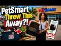 I Found a BRAND NEW Dog Kennel in the PetSmart Dumpster Then Sold It on Facebook Marketplace