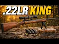 These INSANE New 22 LR Rifles Are Quietly Taking Over America