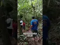 Download Lagu EKSPLOR MISTERI – HUTAN LARANGAN CIAMIS, BANYAK PENAMPAKAN!!  #horrorstories #youtubeshorts