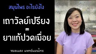 วิจัยทางคลินิกเกี่ยวกับเถาวัลย์เปรียงแสดงผลอย่างไรเมื่อเทียบกับยาแก้ปวดทั่วไป