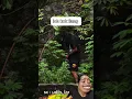 Download Lagu loh kok ilang 🤣 #shorts #meme