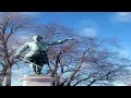 Sabaton - Carolus Rex (English version)