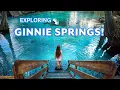Explore Ginnie Springs Florida s Hidden Gem in High Springs Camping