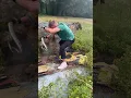FLIPPING ONE OF THE RAREST SNAKES IN THE SOUTHEAST