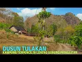 Download Lagu Kampung Tersembunyi di Lereng Gunung Pringgitan 🌄 | Kehidupan Sederhana di Dusun Tulakan Ponorogo