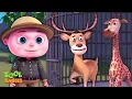 Download Lagu Missing Zoo Animals Episode | Cartoon Animation For Children | Videogyan Kids Shows | Zool Babies