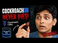Cockroach Database Explained in 10 Minutes The Database That Never Goes Down cockroac b