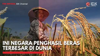 ini negara penghasil beras terbesar di dunia idx channel
