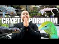 CONTAGIOUS DEADLY DISEASE spread in my REPTILE ROOM Cryptosporidium in Reptiles