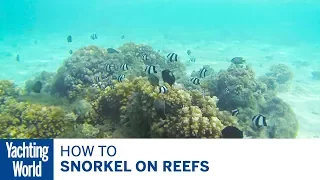How to snorkel on reefs – Yachting World Bluewater Sailing Series | Yachting World