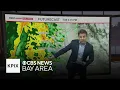Monday evening First Alert Weather forecast 12/22/25