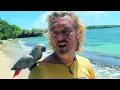 ESCAPE to the CARIBBEAN with AmbientRealLife Video! Featuring British Virgin Islands and more!