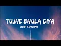 Tujhe Bhula Diya al Mohit Chauhan Shekhar Ravjiani Shruti Pathak Anjaana Anjaani
