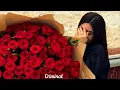 🌹 Amaya Roma Zero 🌹 (Хит 2025)