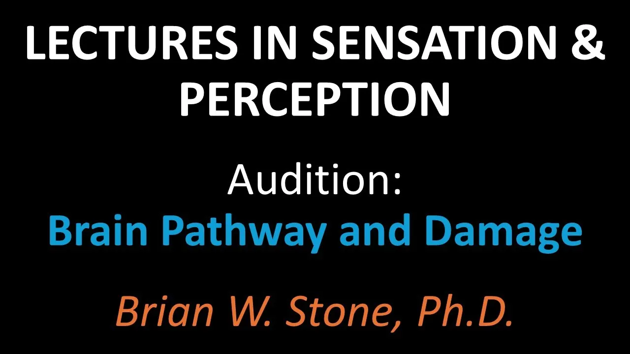 Sensation and Perception - Audition Pt3 - Brain Pathway and Damage