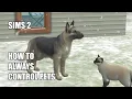 Sims 2 How to Always Control pets