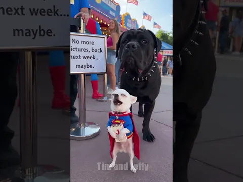 Jeffy Meets His Favorite Superhero 😂