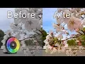 Processing Photographs in Rawtherapee