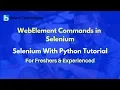 WebElement Commands in Selenium Selenium With Python Tutorial For Beginners