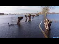 Download Lagu Hoogwater bij de Wieler aan de Maas / Swalm.