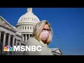 Kasie Hunt Says Cheney Is Thinking About What Comes Next