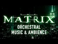 Download Lagu The Matrix | Cityscape with Orchestral Music \u0026 Ambience